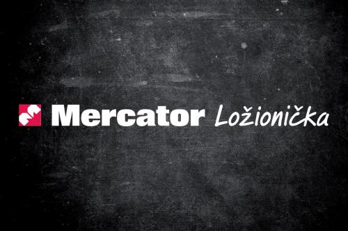 WEB Lozionicka