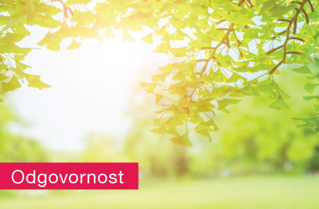 Odgovornost 700X458